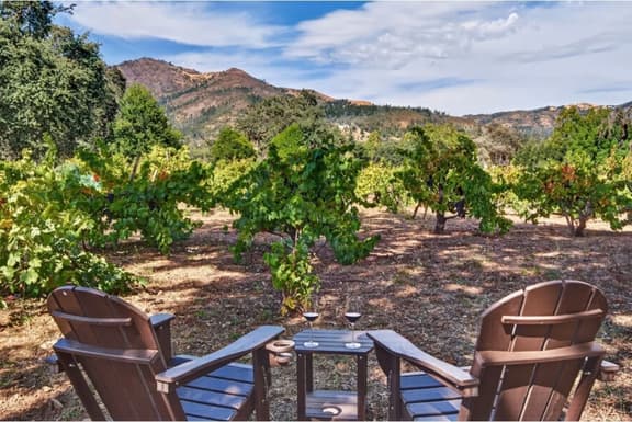 Sonoma Valley Vines and Views-New Listing Promotion! - Image 1